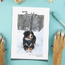 Search for pun christmas cards Dog