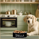 Search for black and white pet bowls Chic