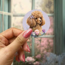 Search for cute poodle stickers Watercolor