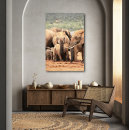 Search for elephant canvas prints Nature