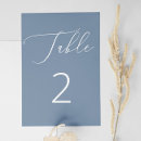 Search for dusty blue table cards Winter