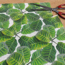Search for leaf plant tissue paper Nature