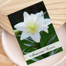 Search for easter service invitations Floral