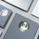 Search for peregrine falcon stickers Animal