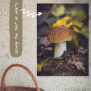 Search for warm fall colours posters Autumn forest