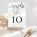 Search for eucalyptus table cards Script