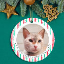 Search for pet first christmas tree decorations Cat