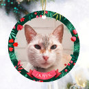 Search for pet name christmas tree decorations Watercolor