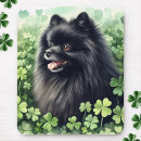 Search for st patricks day mouse mats Cute
