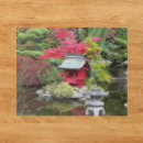 Search for lantern photography Floral
