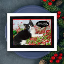 Search for tuxedo cat christmas cards Kitten