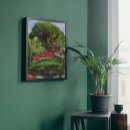 Search for japanese maple tree Floral