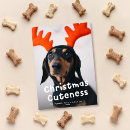 Search for white cat christmas cards Pet