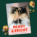 Search for meowy christmas cards Pet