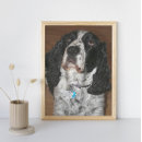 Search for springer spaniel dog posters Pets