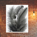 Search for fern leaves posters Illustration