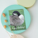 Search for goose birthday cards Animal