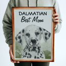 Search for dalmatian art Pets