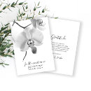 Search for stems cards Elegant