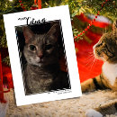 Search for merry catmas cards Pun