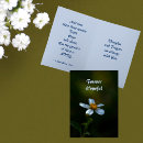 Search for prayers photography Sympathy
