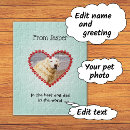 Search for crazy cat lady puzzles Pets