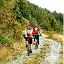 Search for mountain bike stickers Sports