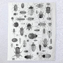 Search for halloween tapestries Watercolor