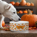 Search for halloween pet bowls Harvest