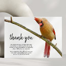 Search for cardinal bird cards Simple