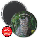 Search for the guy magnets Mans best friend