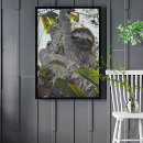 Search for three toed posters Mammal