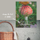 Search for mycology posters Amanita muscaria