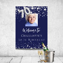Search for winter wonderland birthday posters Silver
