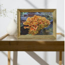 Search for mycology posters Fungi