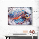 Search for sea turtle canvas prints Hawaii