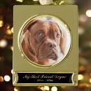 Search for pet memorials Remembrance