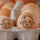 Search for coloured egg Vintage