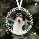 Search for first dog Heart