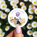 Search for golden paw stickers German shepherd