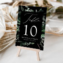 Search for fern table cards Modern botanical