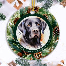 Search for labrador retriever christmas tree decorations Dog