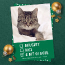 Search for naughty or nice Cat