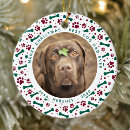 Search for best dog dad christmas tree decorations For him