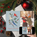 Search for chickadee christmas cards Cardinal