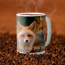 Search for vulpes vulpes mugs Nature