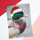 Search for red bird christmas cards Funny