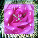 Search for flower clocks Photography
