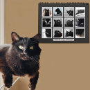 Search for black cat calendars Kitty