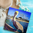 Search for pelican puzzles Bird
